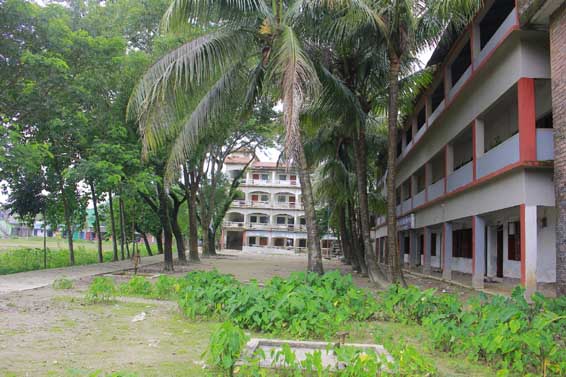 Our School